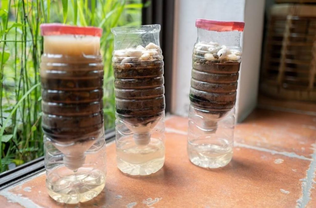 filtering water in bottles using stones and sand