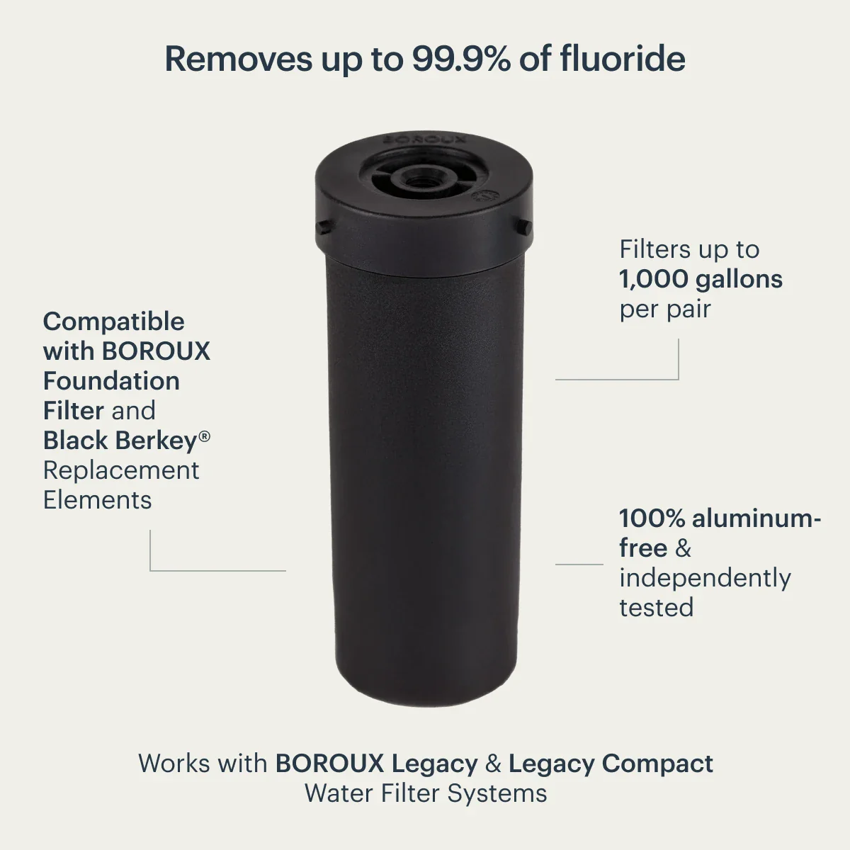 Proactive Fluoride Filter